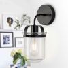 1-Light Wall Lamp with Clear Glass Shade, Modern Wall Sconce, Industrial Indoor Wall Light Fixture for Bathroom Living Room Bedroom Over Kitchen Sink,