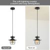 DGY Vintage Farmhouse Pendant Light Rustic Metal Caged Pendant Lights Black Cage Hanging Lamp for Kitchen Island Entryway Bedrooms Living Room Barn,Ad